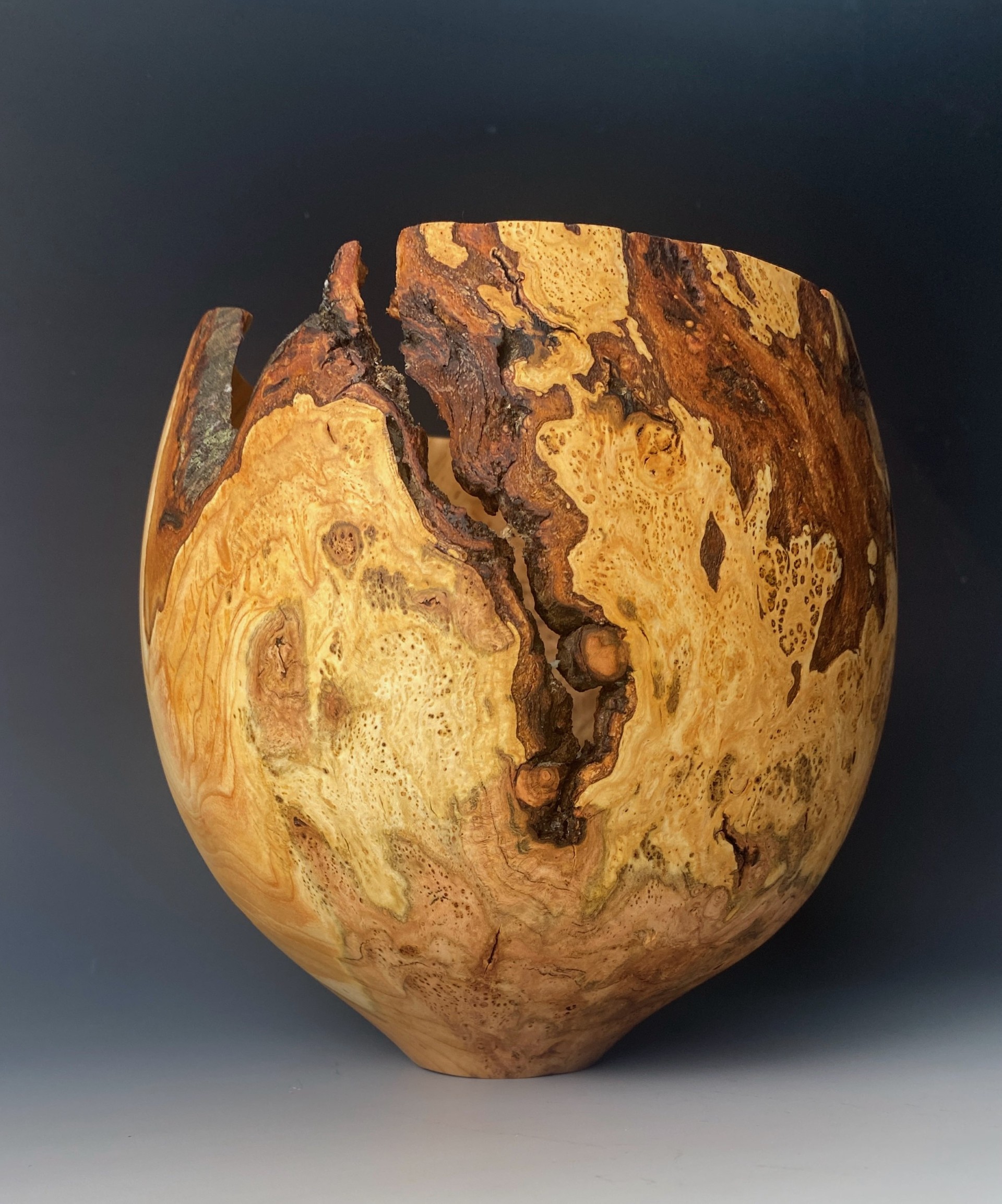 Tall hollow vessel in contrasting burl with natural bark and void inclusions.