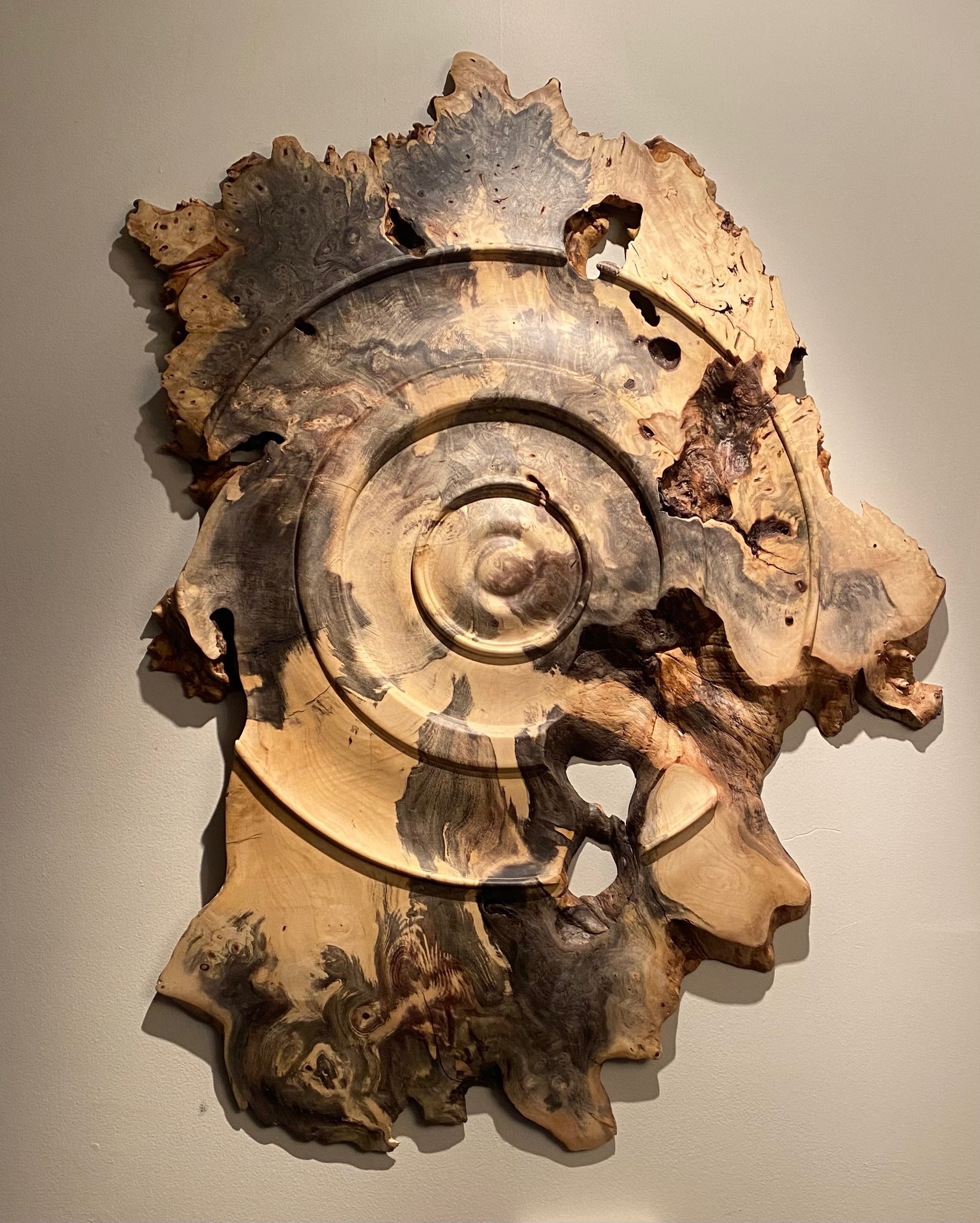 Burl-wood wall relief with concentric circle carving and live edge.